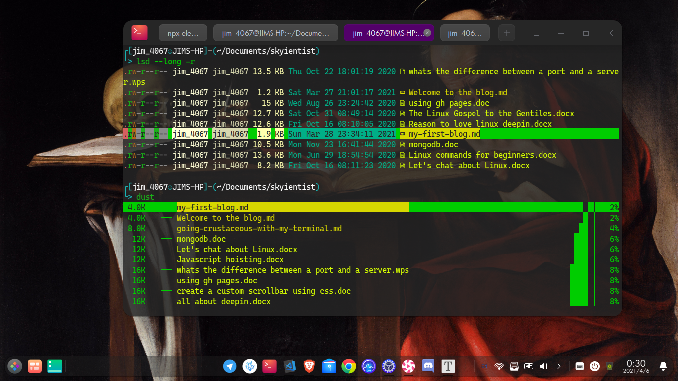 running dust on the terminal to show it in use and how it show the apparent size of the files & folders